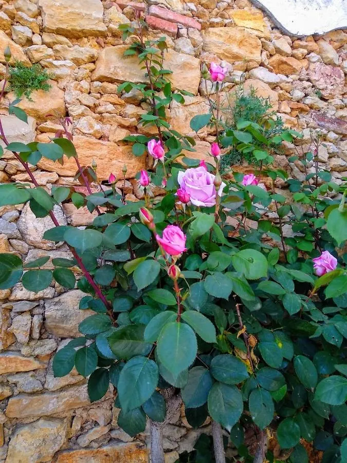 Guest house Sweet & Suite Palafrugell